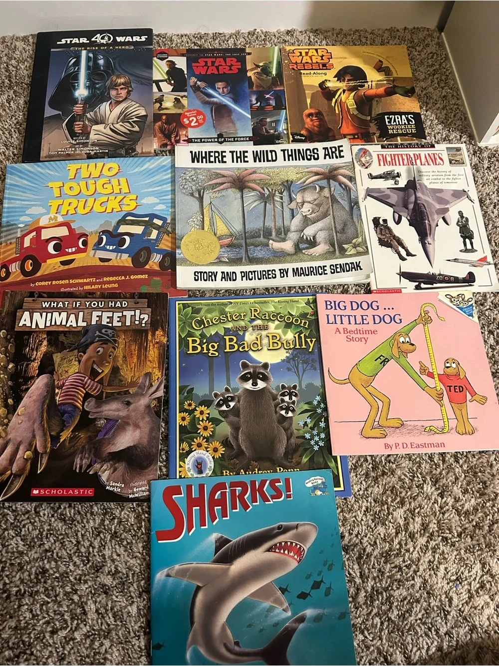 Assorted Kids Picture Books - Lot of 10